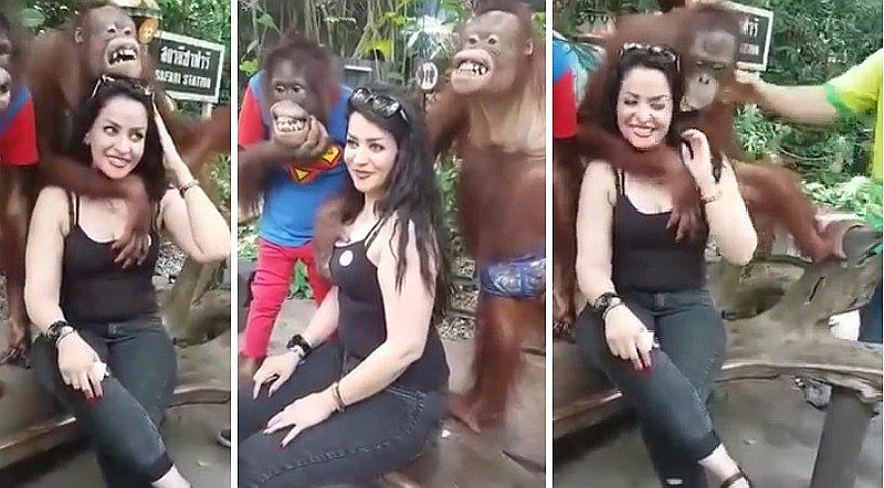 ​YouTube: Turista quería fotografiarse con orangután pero este era más vivo