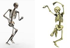 ¿Cuántos huesos tiene el sistema óseo?