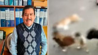 San Martín de Porres: denuncian que sujeto mató a palazos a perrito de menos de un año 