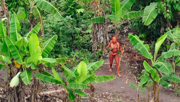 Difunden imágenes de una tribu desconocida en la frontera con Brasil