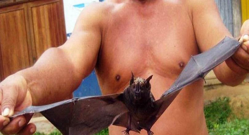 ​Loreto: Minsa declara estado de emergencia tras muertes por mordedura de muerciélagos