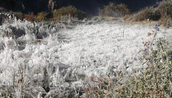 Áncash: Dieciocho heladas han dañado más de 140 hectáreas de cultivos