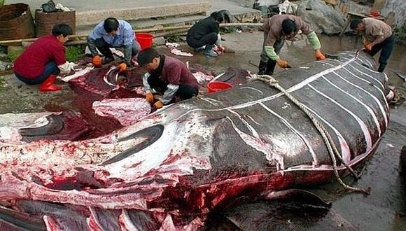 ​Dicen que asesinar a ballenas es “cuestión de principios” para nipones