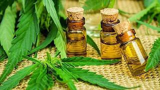 Gobierno promulgó ley que regula el uso medicinal y terapéutico del cannabis