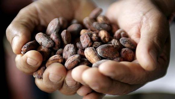​Salud: sustancias del cacao protegen de males cardiovasculares