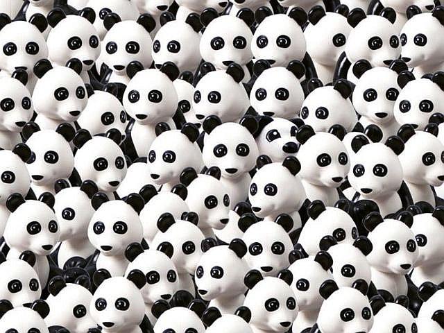 Facebook: ¿Dónde está el perro entre los pandas? [FOTOS]