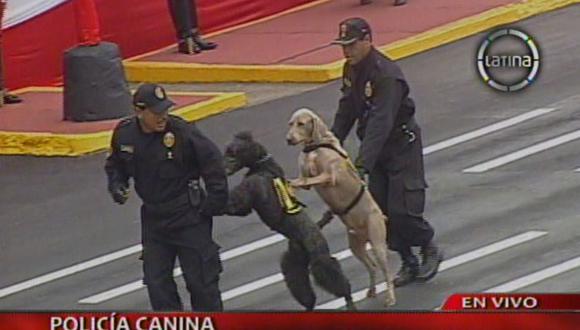 Parada Militar 2013: Perros se roban el show y emocionan a Nadine Heredia [VIDEO]