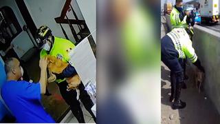 Serenos de Surco rescatan a perrita con pata fracturada tras cerrar tránsito en la Panamericana Sur