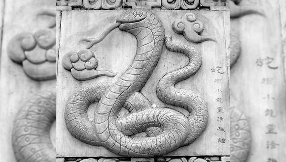 El signo de la serpiente, según las creencias culturales ancestrales, es considerado como un animal sagrado, de aspecto negativo, aunque para el género femenino es bueno. (Foto: Pixabay)