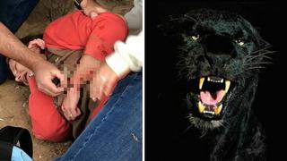 Mujer es atacada por un jaguar tras trepar reja para tomarse un selfie
