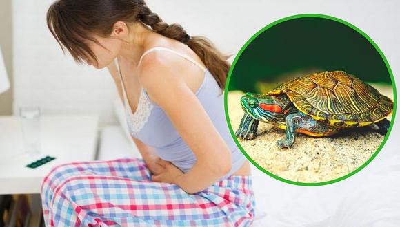 Va al doctor por fuertes dolores en partes íntimas y le extraen una tortuga