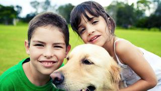 5 razones para que tu hijo tenga una mascota