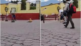 Todo un actor: perrito finge estar lastimado para que turistas lo acaricien [VIDEO]