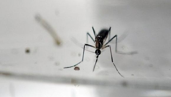 Zika: Minsa confirma primer caso autóctono por transmisión sexual