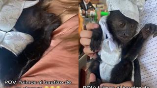 ¡Nace una estrella! Baloo, el mono que arrasa por celebrar su bautizo con tremenda fiesta