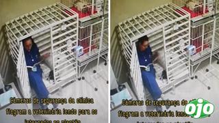 Tierna veterinaria es captada leyendo cuentos a perrito para que se recupere | VIDEO