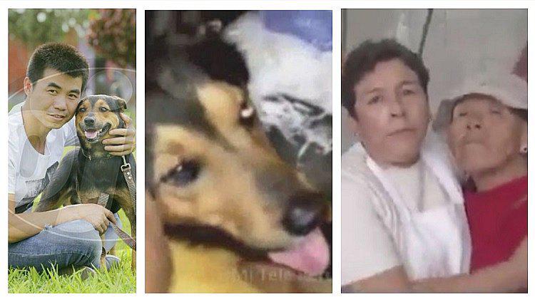 ​Carniceras piden a dueño de Chifa Asia les devuelva a su perro “Negrito” (VÍDEO)