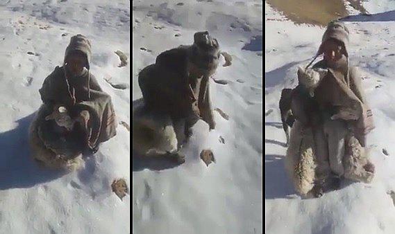 Viralizan vídeo de niño cargando a su alpaca muerta en medio de intenso frío (VÍDEO)