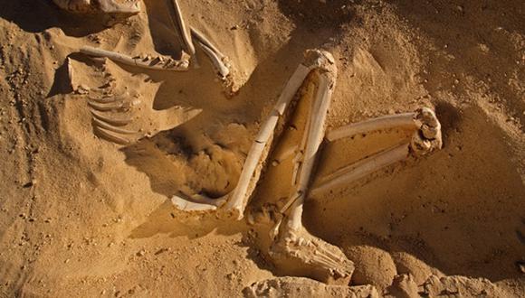Esqueleto de 3 200 años es el caso más antiguo de cáncer de la historia