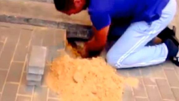 Mascotas: lo que encontró este hombre bajo del suelo te impresionará (VIDEO)