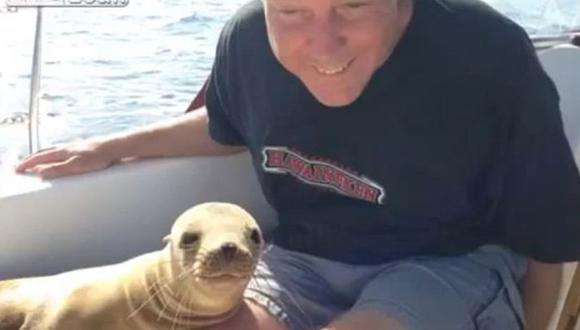 Cachorro De Leon Marino La Da Tierno Abrazo A Hombre Video Actualidad Ojo