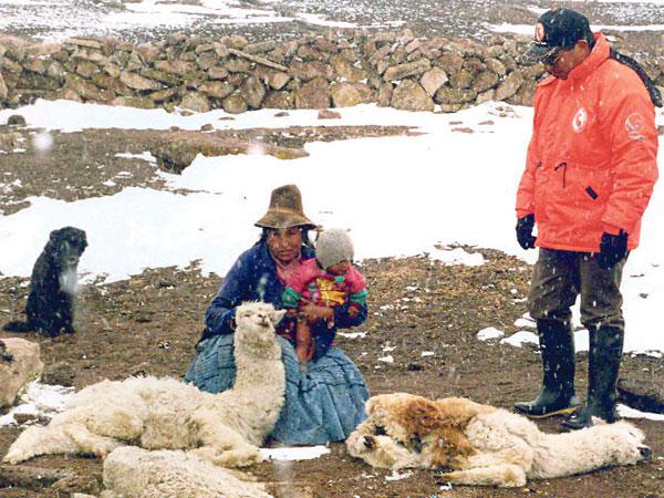 Friaje ya mató a 51 niños en Puno