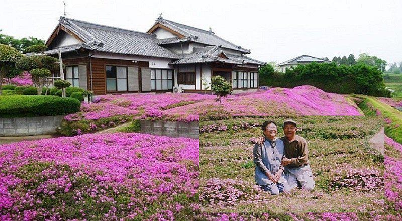 YouTube: Hombre sembró más de 7 mil flores para sorprender a su esposa ciega [VIDEO]