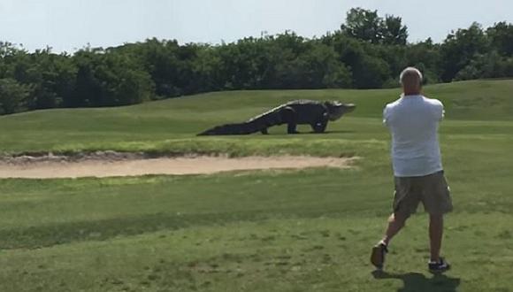 ​YouTube: Enorme cocodrilo aparece en juego de golf y esto ocurrió [VIDEO]