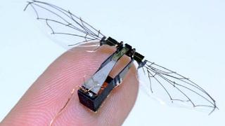 RoboBee: Crean pequeño robot inspirado en las abejas y luce así