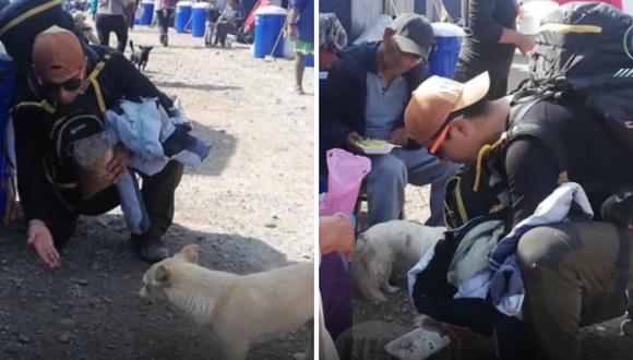 El veterinario que fue por su cuenta a sanar a los perritos afectados por el huaico en Mirave (FOTOS)