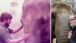 Cuidador de zoológico tiene un emotivo reencuentro con elefante 32 años después (FOTOS)