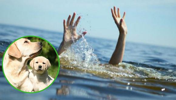Anciano muere ahogado tras intentar salvar a sus perros