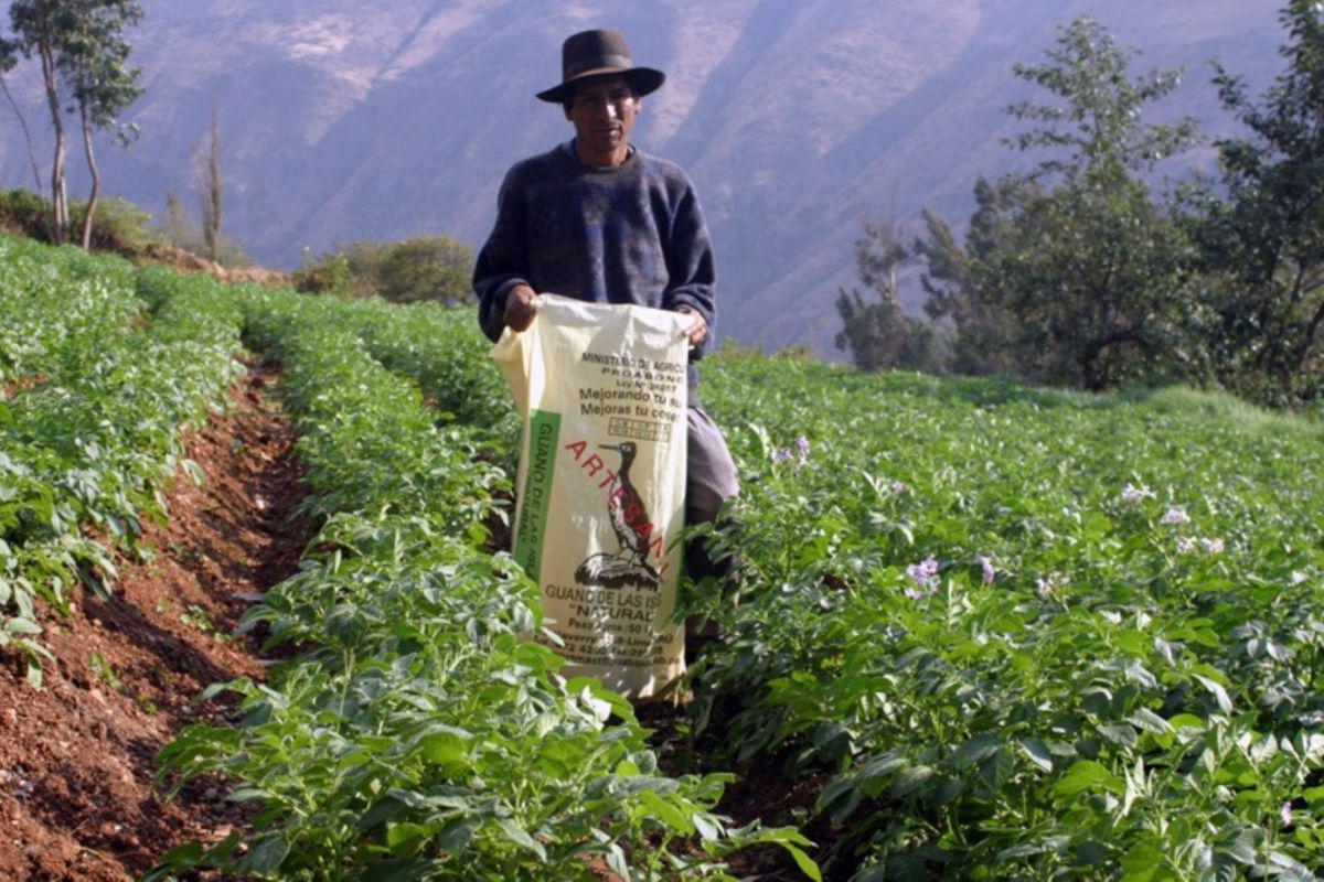 El Gobierno otorgará un bono de 760 soles a más de un millón de hogares que viven en las zonas rurales del país, afectadas por el aislamiento domiciliario y la inmovilización social obligatoria (Foto: Andina)