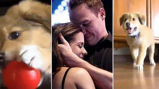 ​George Forsyth y Vanessa Terkes adoptaron mascota y ahora ninguno de los dos lo tiene│VIDEO