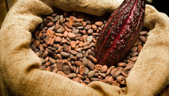 El cacao ayuda a combatir la tos, aseguran científicos
