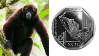 BCR lanza moneda alusiva al mono choro cola amarilla (VIDEO)