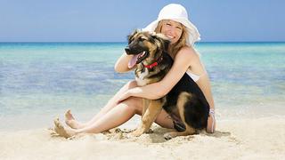 Playa y mascotas! 5 cuidados que debes tener sí o sí 
