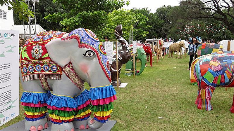 ​Elefante asiático recibe merecido homenaje y piden protegerlo (VIDEO)
