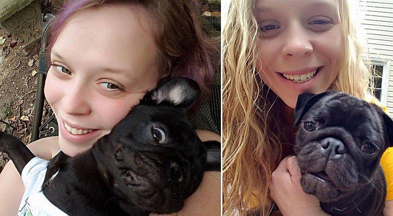 Mujer persigue a su perro que huyó tras choque y ambos mueren atropellados