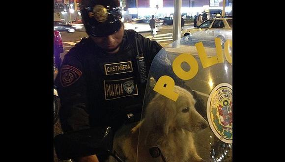 Facebook: Policía ayuda a perrito abandonado y se vuelve un héroe 