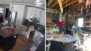 EE.UU.: perro enciende casualmente la cocina de la casa de sus dueños y provoca un incendio | VIDEO