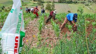 Gobierno amplía hasta el 31 de octubre el plazo de compra y entrega de urea a productores agrarios