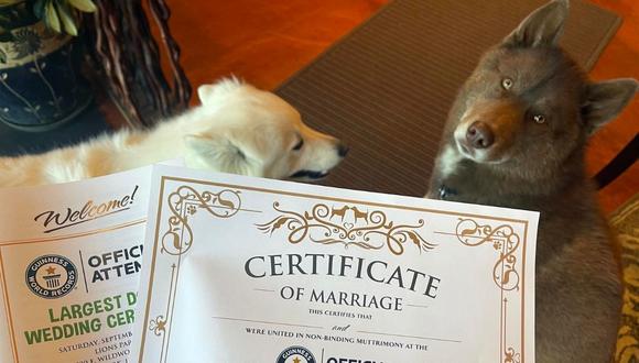 se aprecia a dos perros mientras posan junto al cartel de "Recién casados" durante una fiesta de intento oficial de romper el récord de boda masiva de perros celebrada en Villa Park, Illinois (EEUU). (Foto:  EFE/ Daniel Dusty Porter)
