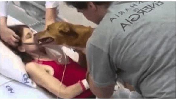 YouTube: Mujer con cáncer terminal pide despedirse de su perrito ante de morir [VIDEO]