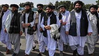Talibanes despedirán a hombres sin barba y prohíben a mujeres viajar en avión sin un varón al lado 