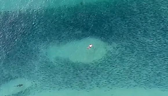 Un dron que sobrevolaba las aguas de la playa Bondi, en Australia, muestran a un grupo de amigos que se divirtió durante casi una hora cerca de varios tiburones, sin ser atacados por ellos. (Foto: Drone Shark App / Facebook)