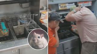 Ratón se lanza a aceite hirviendo en local de comida rápida y así reaccionan los trabajadores | VIDEO