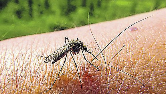 el dengue en el perú