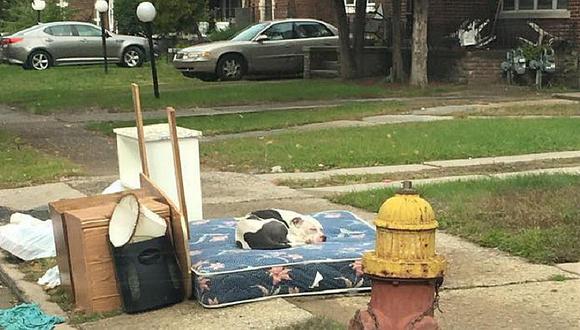​Facebook: Perrito esperó a sus dueños en el mismo lugar donde lo abandonaron