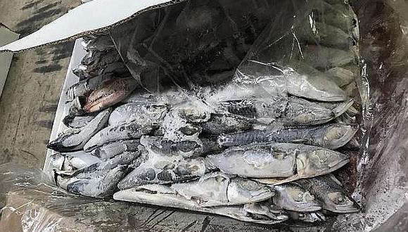 ​Nuestro pescado peruano hace noticia en Australia pero por mala razón (FOTOS)